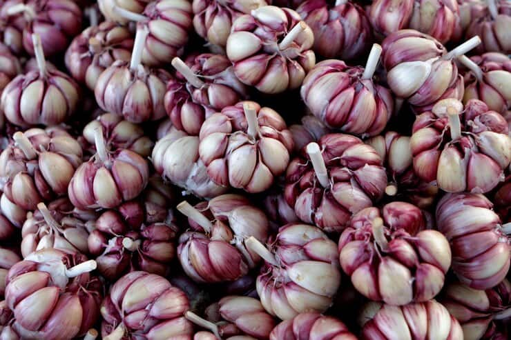 خرید و فروش سیر محلی با شرایط فوق‌ العاده